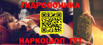 a pvp Рузаевка
