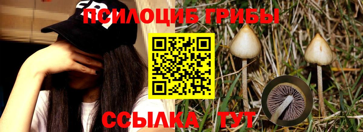 Псилоцибиновые грибы мицелий  Вход с VPN  Рубцовск 